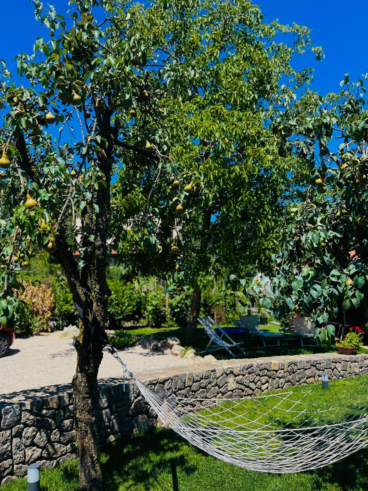 Villa Dolce Risveglio Agerola Exterior foto